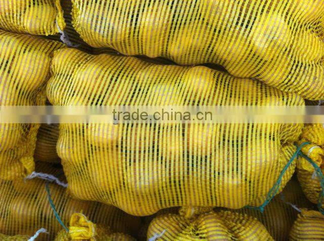 Sell 2013 Fresh holland potato