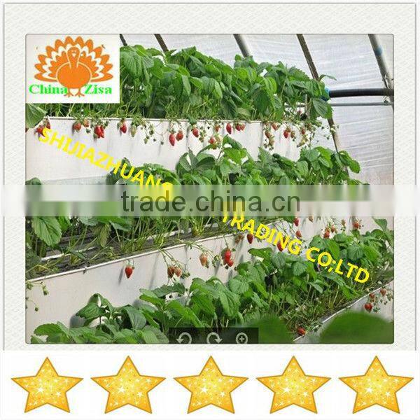 agricultural equipment plant stand in greenhouse
