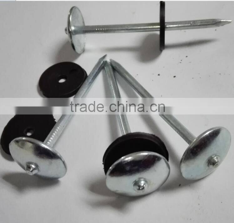 Galvanized Roofing NAILS ( 2 -1/2" x 9mm ) with plastic washer Boa sorte Trade ssurance sinolink