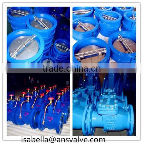 Cast Steel Grooved Check Valve