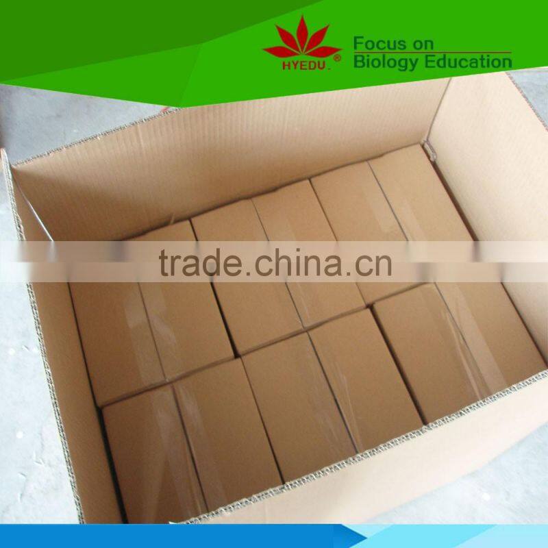 High quality for medical educational supply 2 lumbar vertebrae skeleton model with hernia and prolapsed intervertebral disc