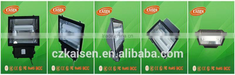 80W 120W 150W china new product energy saving lvd induction flood light