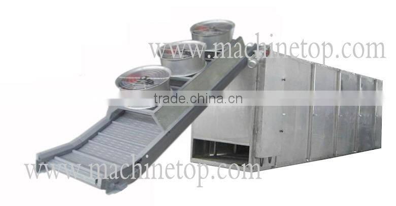 Straight Blowing Type Conveyor Dryer/The most advanced/professional direct blowing diced onion/banana chips dryer