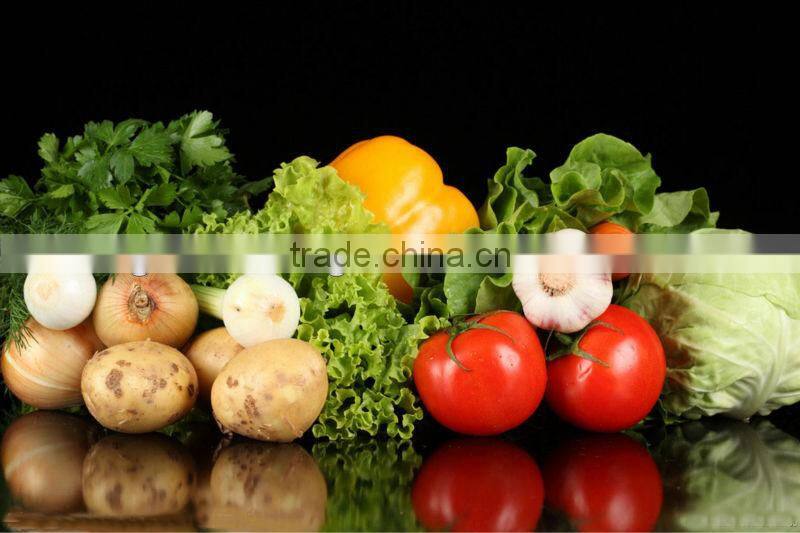 2012 shatang orange top quality without leaf