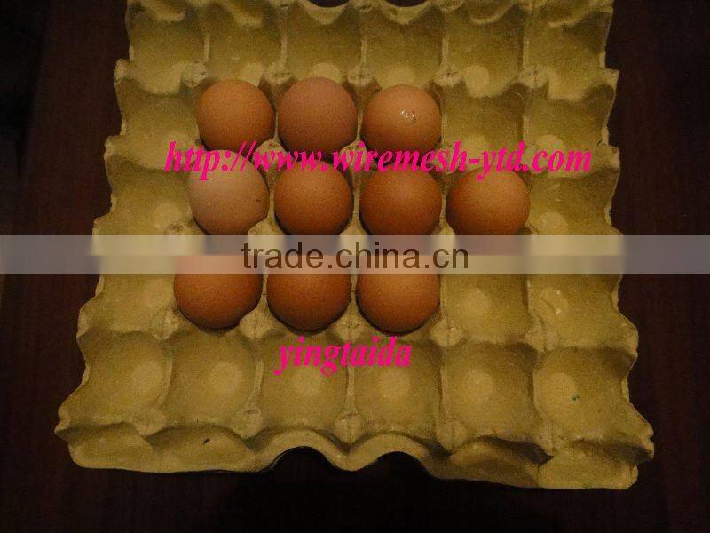 egg tray craft