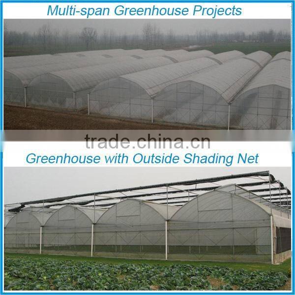 Lowest Price Greenhouse Growing Vegetable
