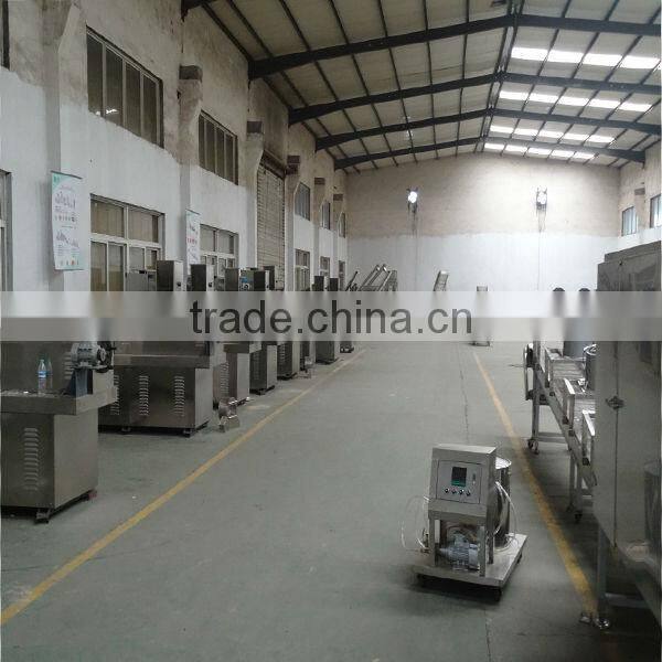 autometic and small scale snack food production line with CE