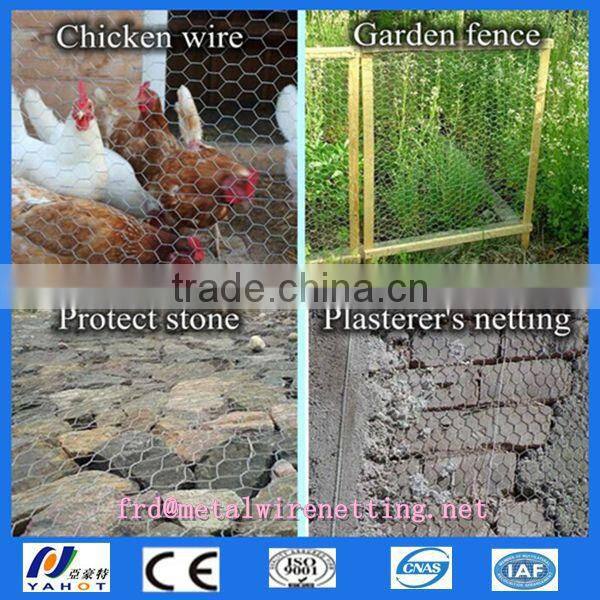 Anping galvanized hexagonal wire mesh/ chicken wire / PVC coated chicken fence
