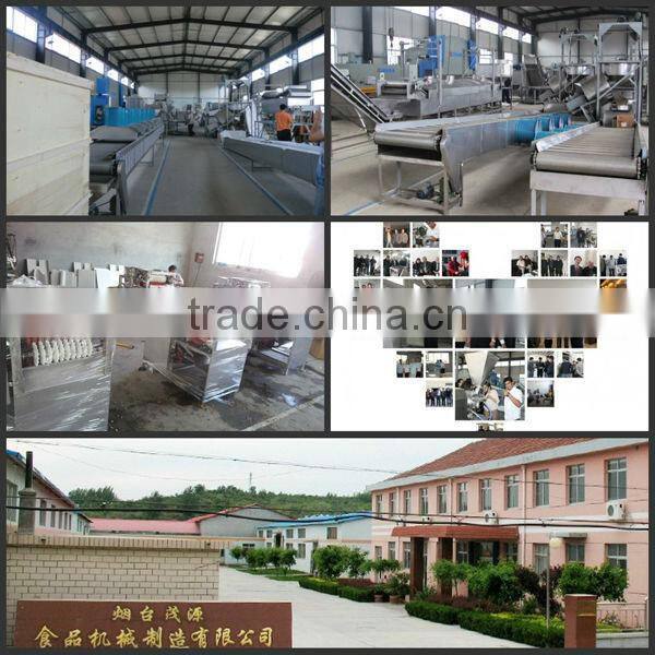 top quality blanched peanut making line with CE