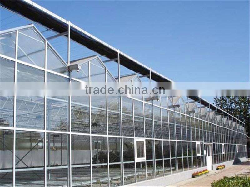 Hot sale multi span glass greenhouse