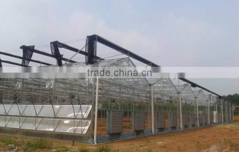New Technology Glass greenhouse for sale