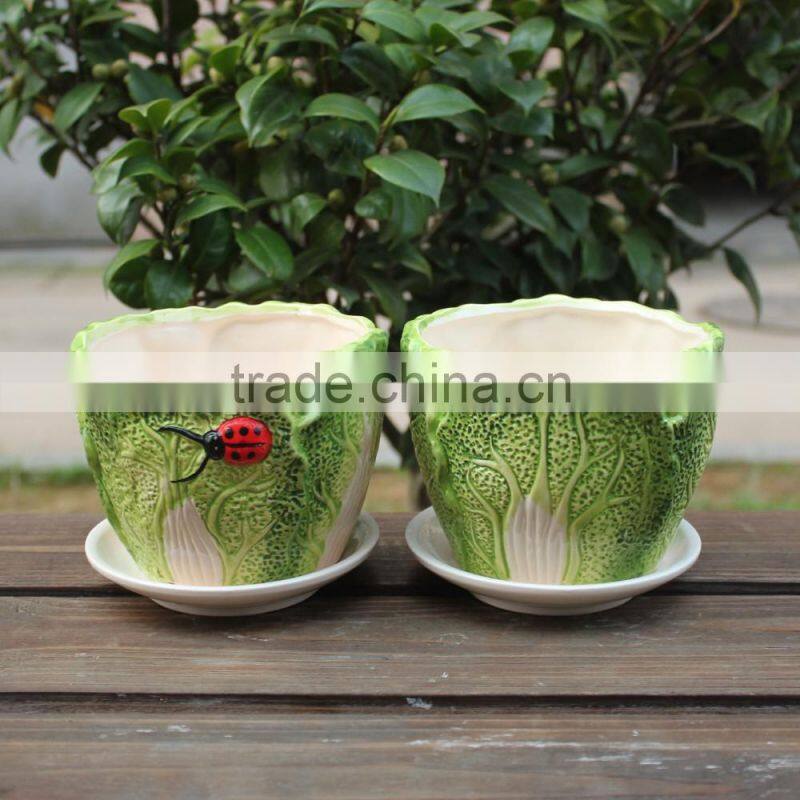 Attractive cabbage shape ceramic small decorative planters
