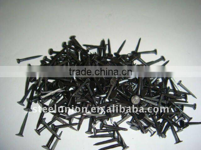 Linyi shoe tack nails (factory)/blue shoe nail/ three star shoe tack