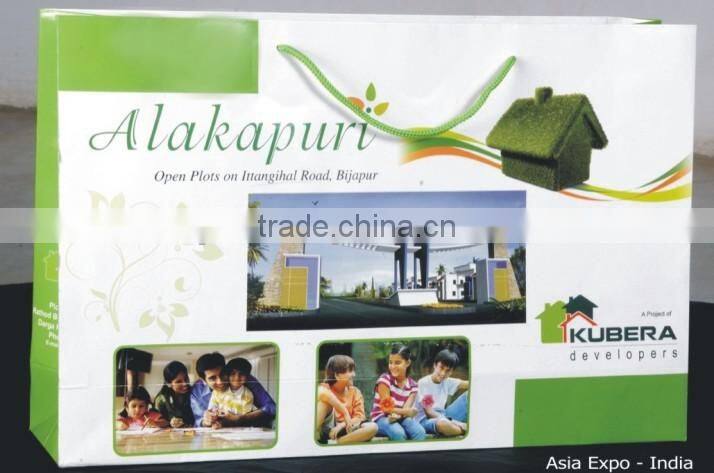 Glossy Finish Paper Bags with rope handles