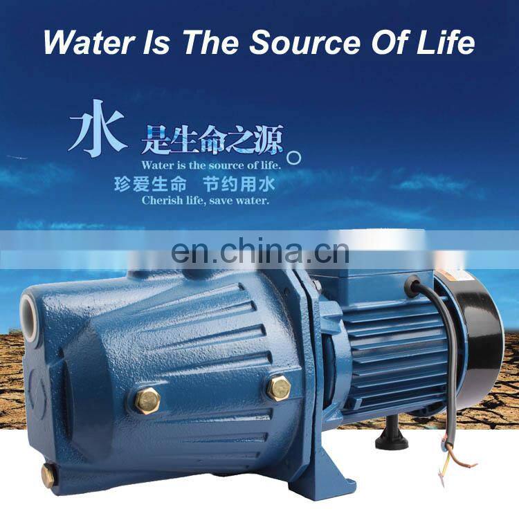 100%copper wire JET pump,750W AC surface pump,with thermal protector