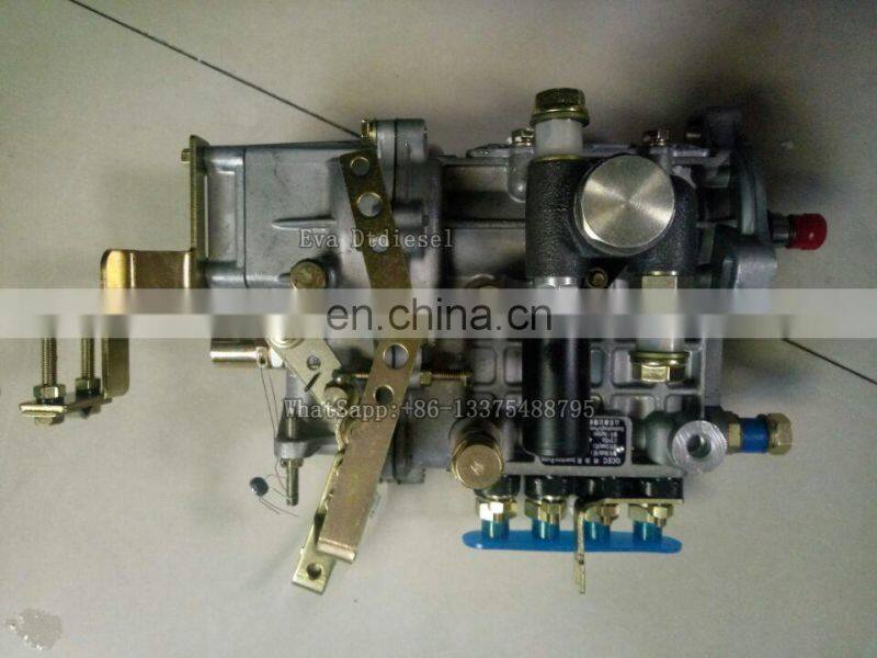 Genuine Kang-Da Fuel injection pump BH4QT80R9