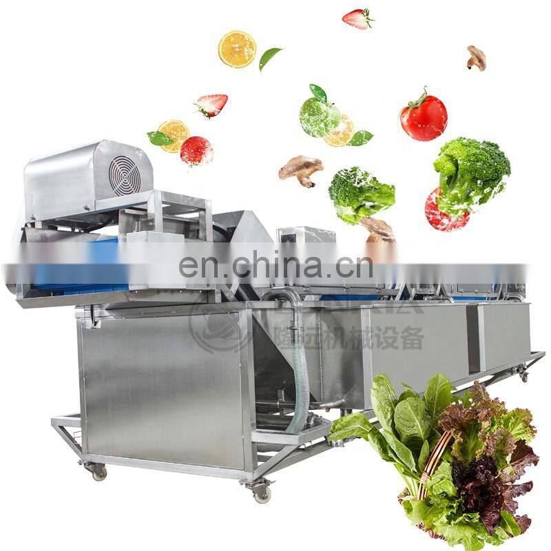 Commercial Small Fruit Bubble Washing Machine Tomatoes Pepper Bubble Washer for Fruit Vegetable