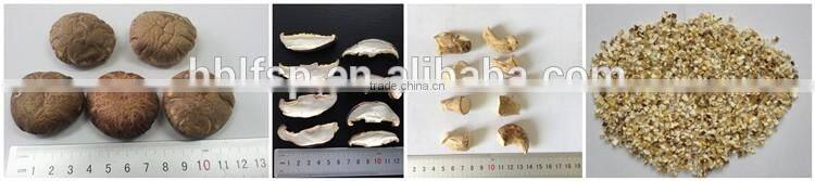 Shiitake Mushroom , Xianggu Mushroom , Maitake Mushroom