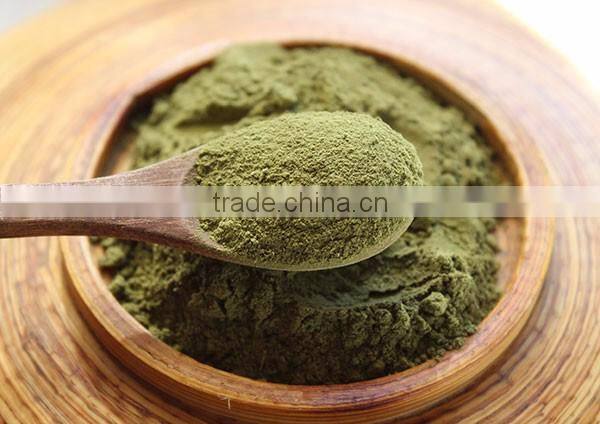 Superior Quality Moringa Leaf Powder Manufacturer