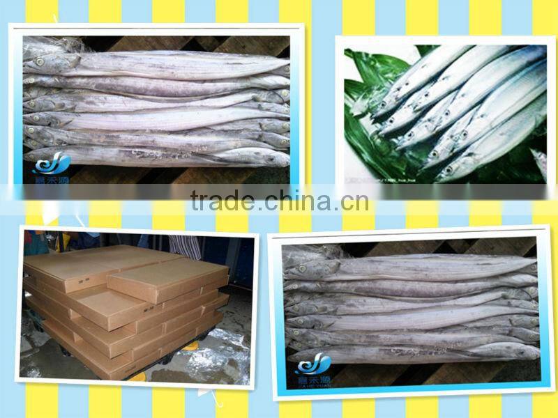 Frozen Ribbon fish WR