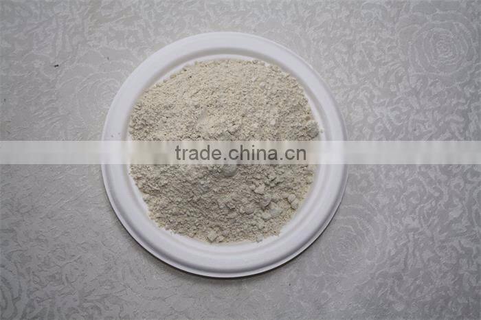 Powder Shape and 100% Pure Dried Garlic Powder
