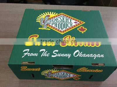 Custom color printing paper box