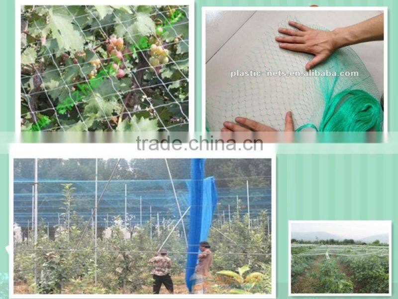 High tensile Plastic BOP netting for anti bird and plant support &deer fence