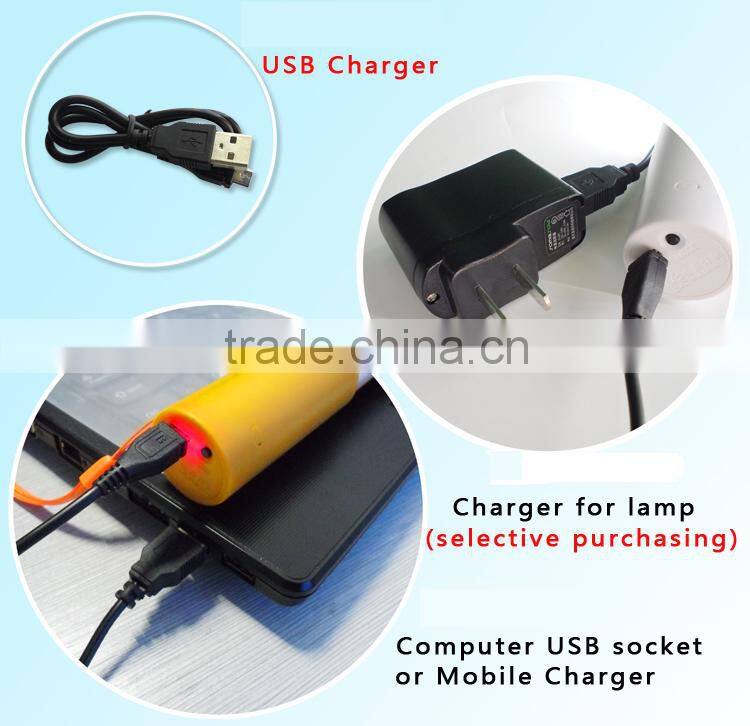 Rechargeable White Lamp Bulb AC/DC LED Outdoor Emergency Camp Tent Light