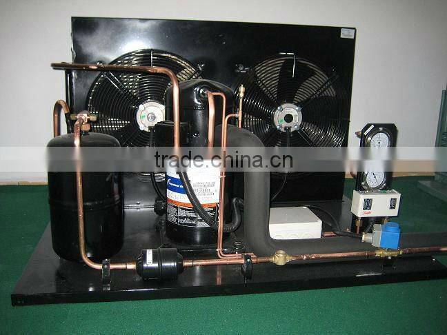 fronzen cold room for meat and fish