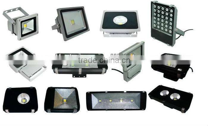 Shenzhen Factory 30w Bridgelux IP65 110v Ground Mounted LED Flood Light