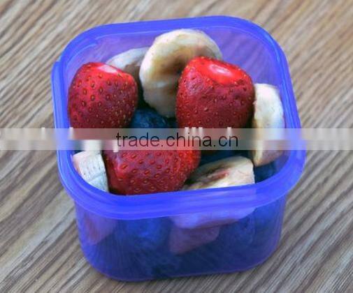 Weight Loss Portion Control Containers-7 Portion Control Containers in Set with Divide