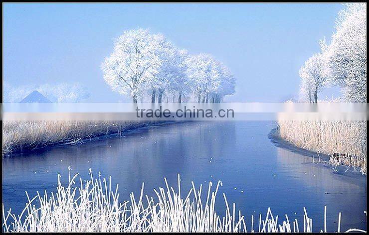 sea freight from China to Ukraine