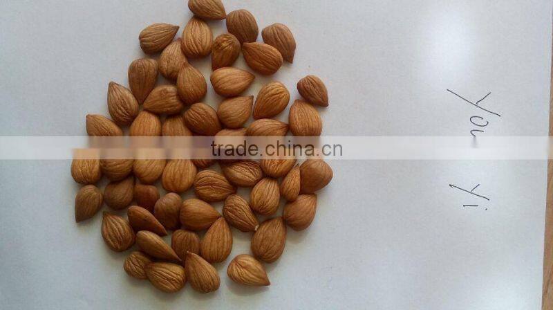 Supplying New Crop of Bitter Apricot kernels from China
