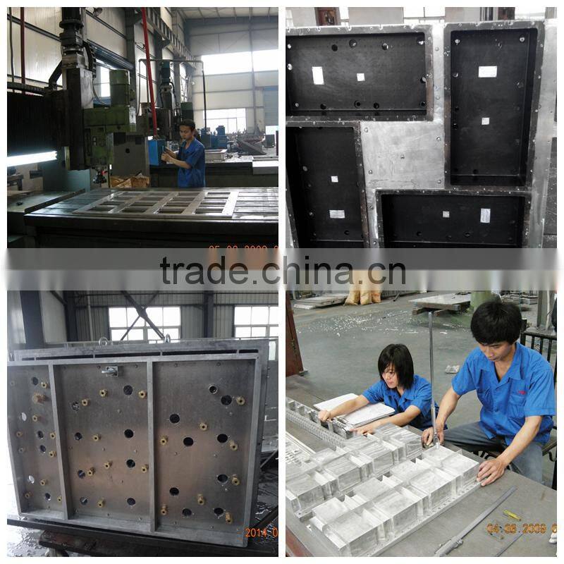 Customized EPS mold Supplier