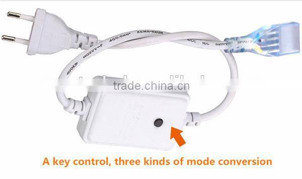 220v high voltage 5050 / 5025 dual white led strip
