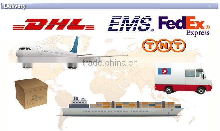 disposable infusion bag/blood infusion bagg /pvc iv infusion bag