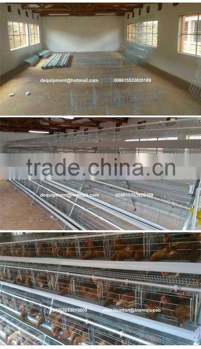 TA $242,000 hot sale Kenya automatic chicken battery layer cage and equipment for Nairobi poultry farm with hen house design