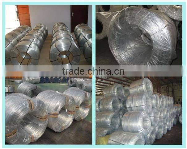 high quality electro galvanized welded wire mesh(ISO9001) from china anping sanxing factory(professional manufacturer)
