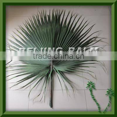 dry palm frond,preserved palm frond,artificial leaf
