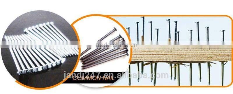 Polished Wire Nail From Guangzhou Supplier
