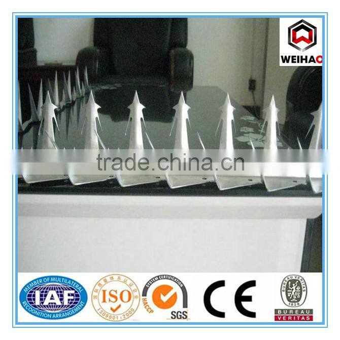 Good Quality High Security Anti Climb Wall Spikes