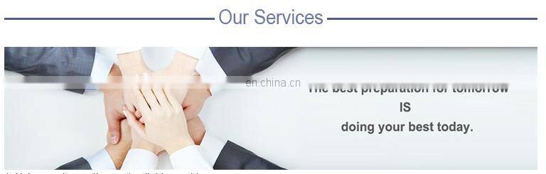 JR-200 Electric Frozen Meat Mincer for Sausage Production Line