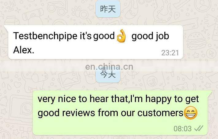 Euro II fuel pump oil pump 612600080799 612600080343 614080719 for WD615 WP10