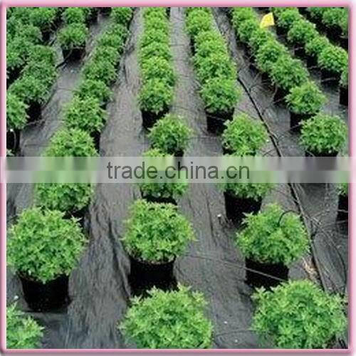 SGS Certified Flame retardant PP Spunbond Non Woven Table Cloth