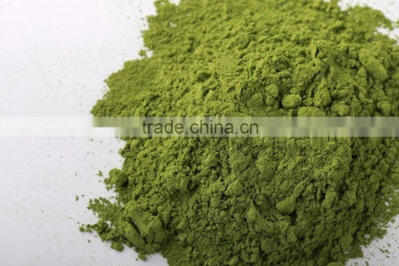 High Quality Mulberry Leaf Powder Exporter