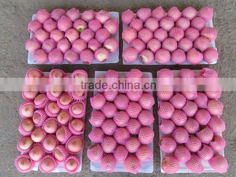 Nice fuji apple from China on sale for Bangladesh market