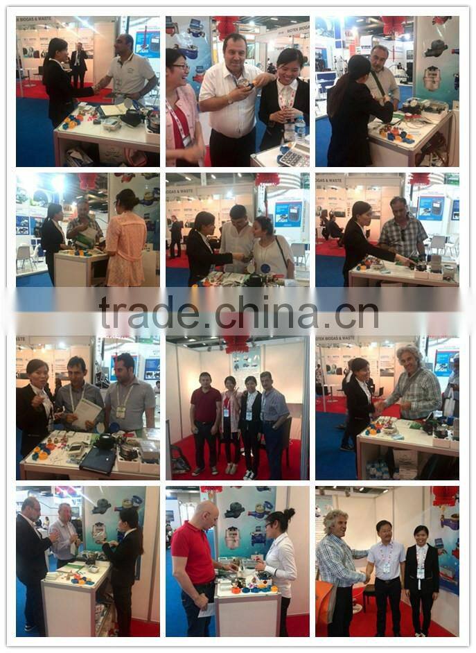 SS 304 Stainless Steel Water Flow Meter in Size 15-40mm