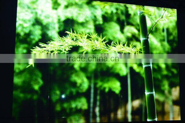 High quality Low Cost Pico Video Projector