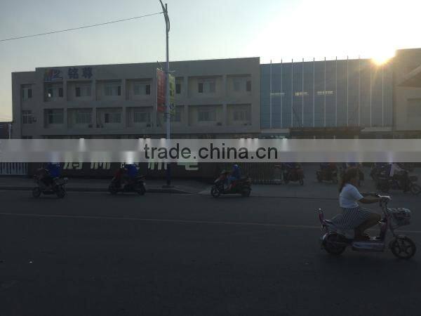 two speed BLDC motor and differential for sale disc brake