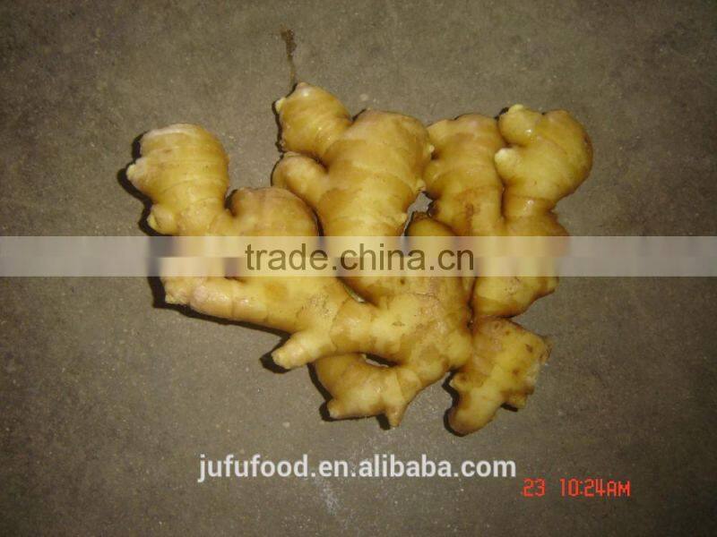 fresh ginger dry ginger